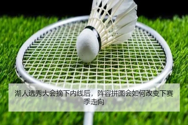 湖人选秀大会摘下内线后，阵容拼图会如何改变下赛季走向